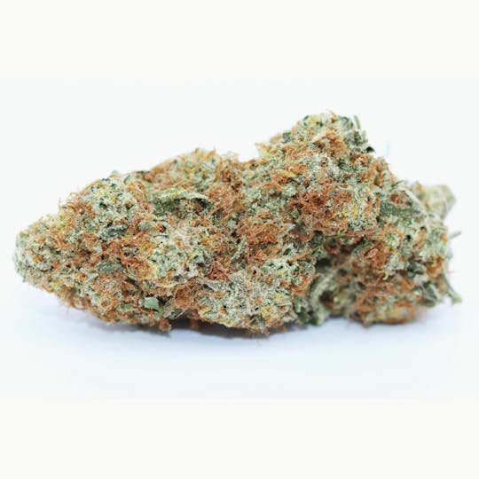 Elevation 207 - Papaya 'N Cream - 1