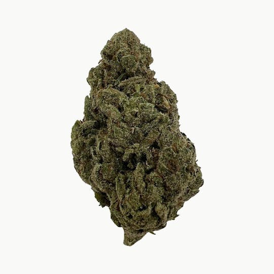 Indico - Green Crack - 1