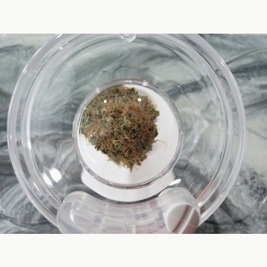 Delightful Hights - Very Cherry - 1