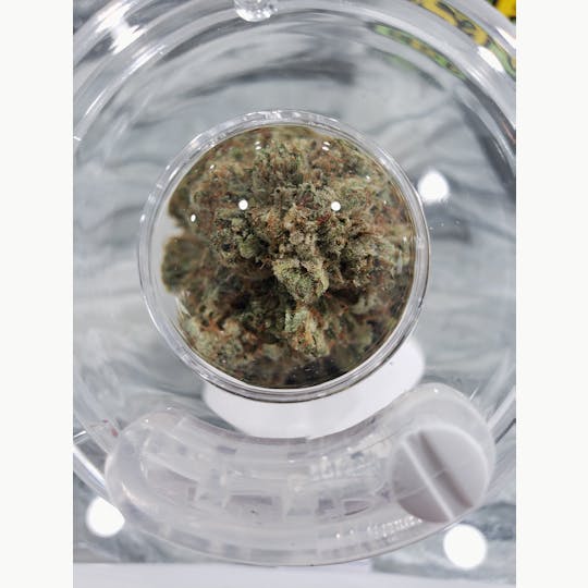 Delightful Hights - Skywalker Kush - 1