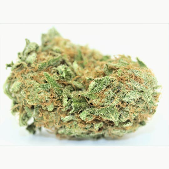 Elevation 207 - Cheese - 1