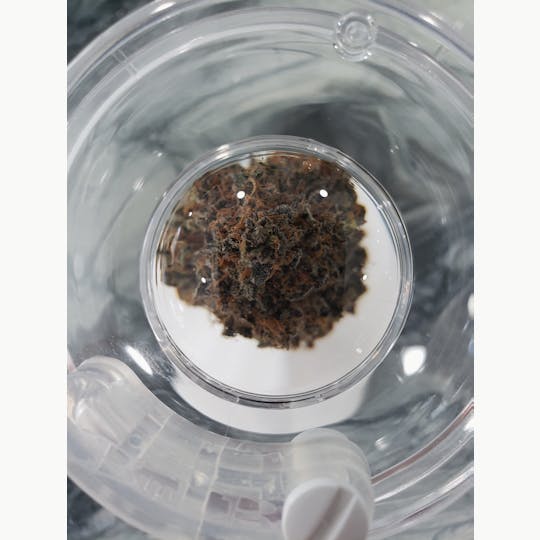 Delightful Hights - Wizards Kush - 1