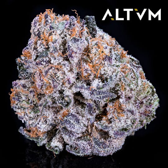 ALTVM - ALTVM | Kobe - 1