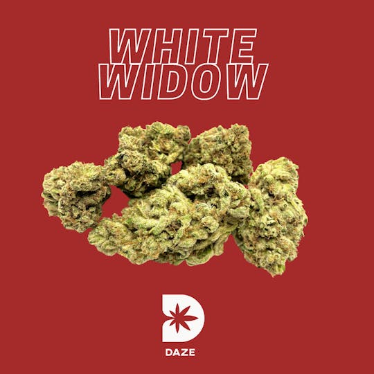 DAZE - White Widow (1/2 Oz) - 1