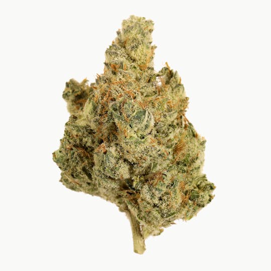 Seed & Smith Cannabis - East Coast Garlic - 1