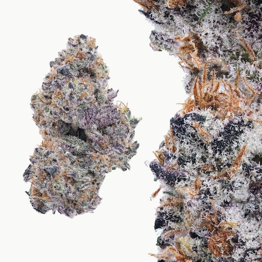 Marks Organix - Garlic Breath - 1