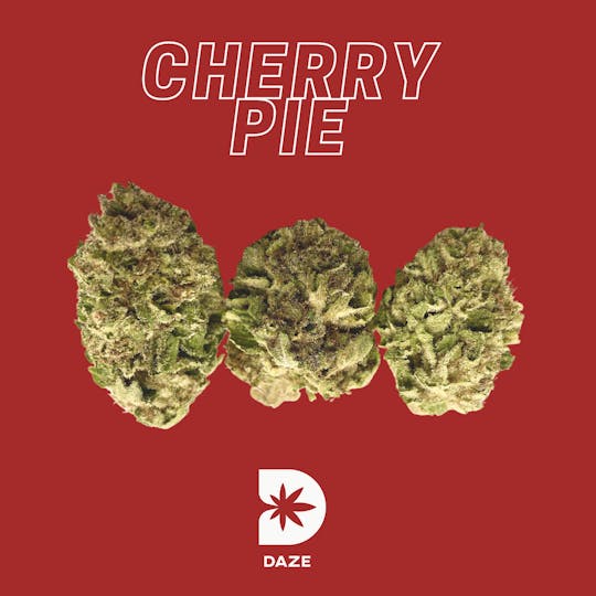DAZE - DAZE - Cherry Pie (1/2 Oz) - 1