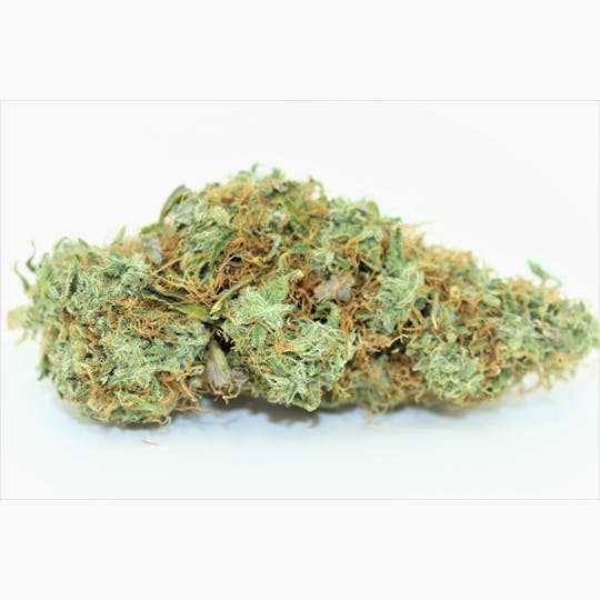 Elevation 207 - Strawberry Sunburst - 1