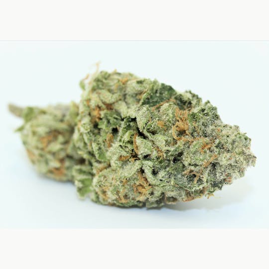 Elevation 207 - Bigfoot Glue - 1