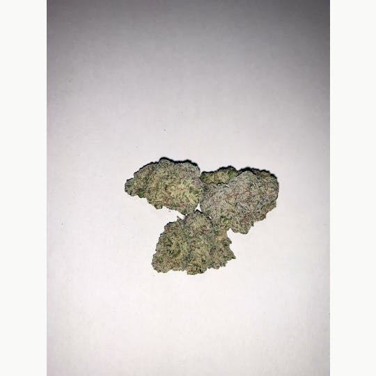 Gorilla Gardens - Hair of the Dog - 1