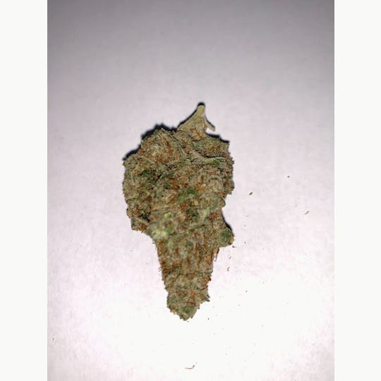 Gorilla Gardens - Tangcicle - 1