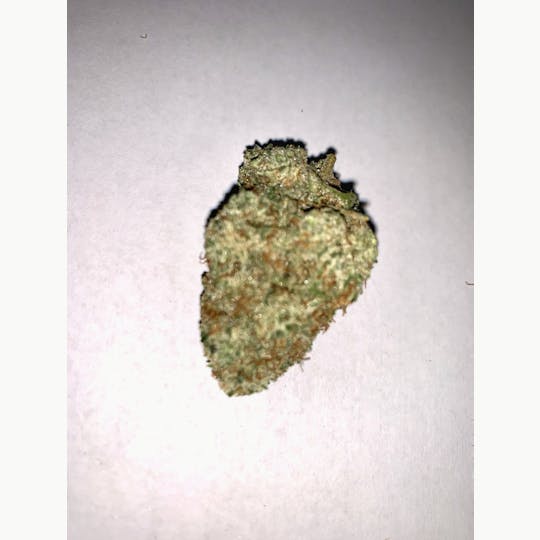 Gorilla Gardens - Strawberry Glue - 1
