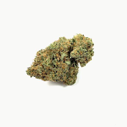 Gorilla Gardens - Italian Ice - 1