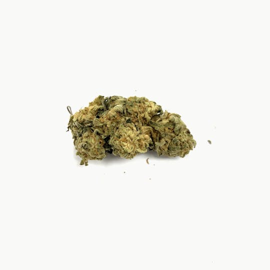 Gorilla Gardens - Super Lemon Haze - 1