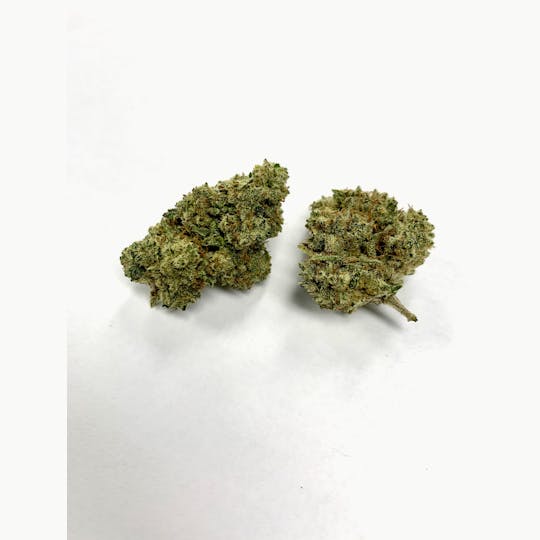 Gorilla Gardens - Mango Kush - 1