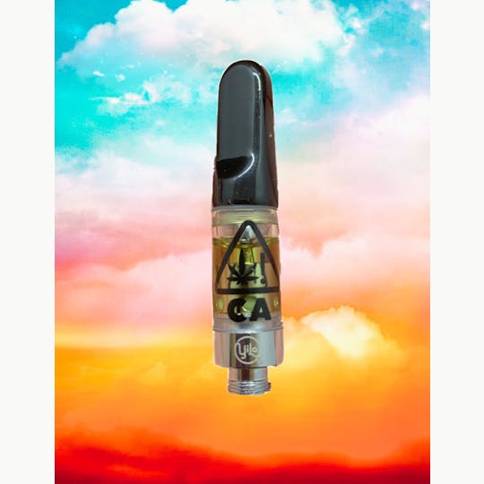 YiLo Gold - Sunset Sherbet - 1