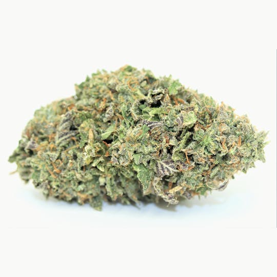 Elevation 207 - Thin Mint - 1