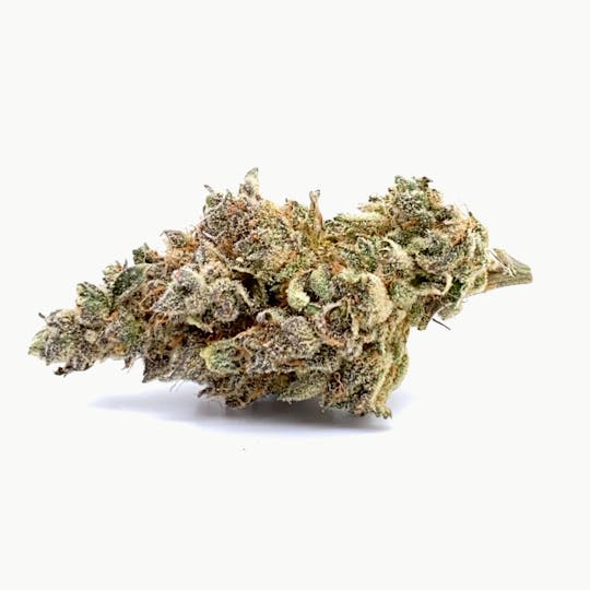 Maine Cannabis Exchange - Blue Magoo Cookies - 1