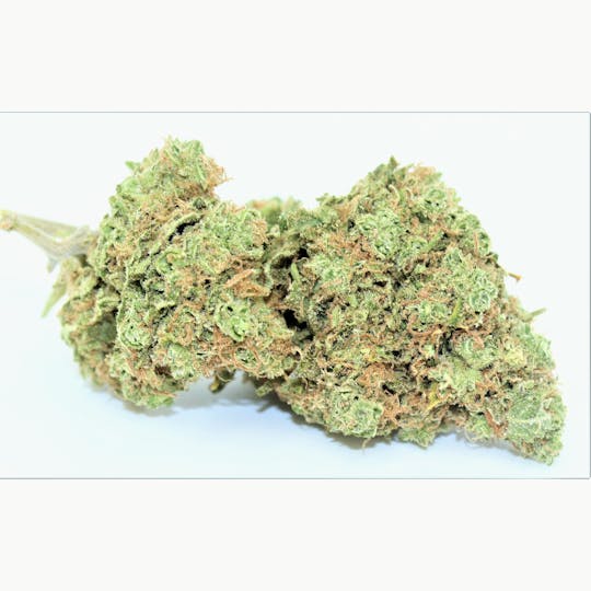 Elevation 207 - Swiss Skunk - 1