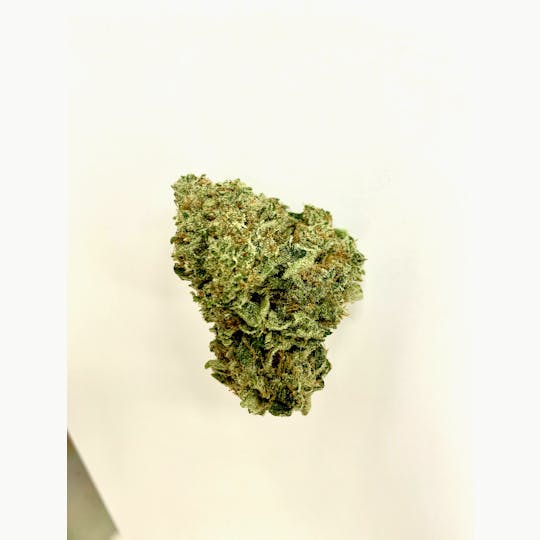Gorilla Gardens - Tiramisu - 1