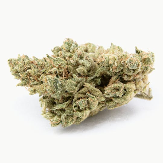 Snowblind Cannabis - Fatso - 1