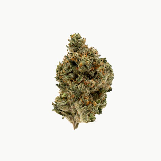 Brigid Farm - Forum Cookies #6 - 1