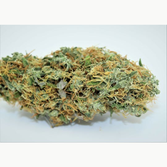 Elevation 207 - NY Purple diesel - 1