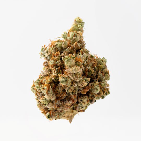 Brigid Farm - Snicklefritz #125 - 1