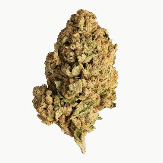 DAZE - DAZE - Motorbreath (1/2 Oz) - 1