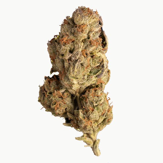 DAZE - DAZE - Blue Cookies (1/2 Oz) - 1
