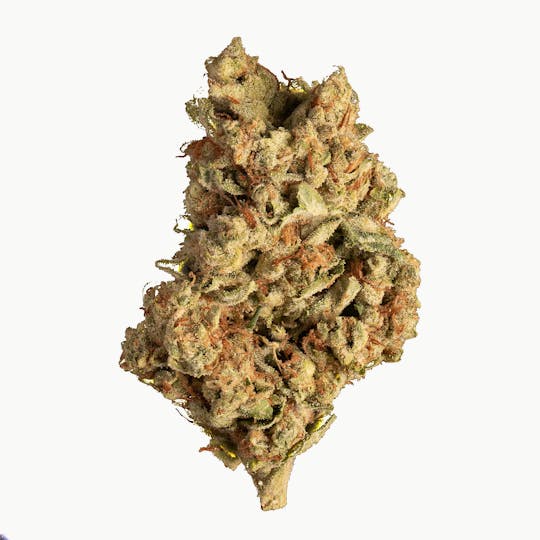 DAZE - DAZE - GMO Cookies (1/2 Oz) - 1