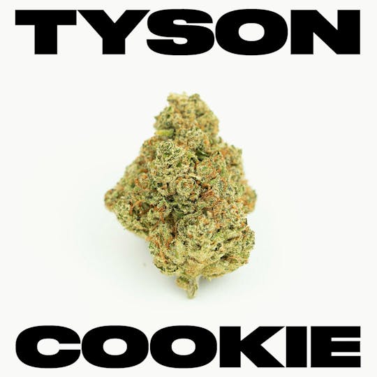 TYSON 2.0 - Tyson Cookies - 1