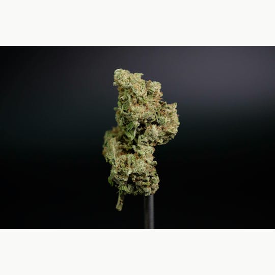 Marks Organix - Northern Lights - 1