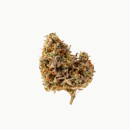 Brigid Farm - Walk About Creek #1 - 1