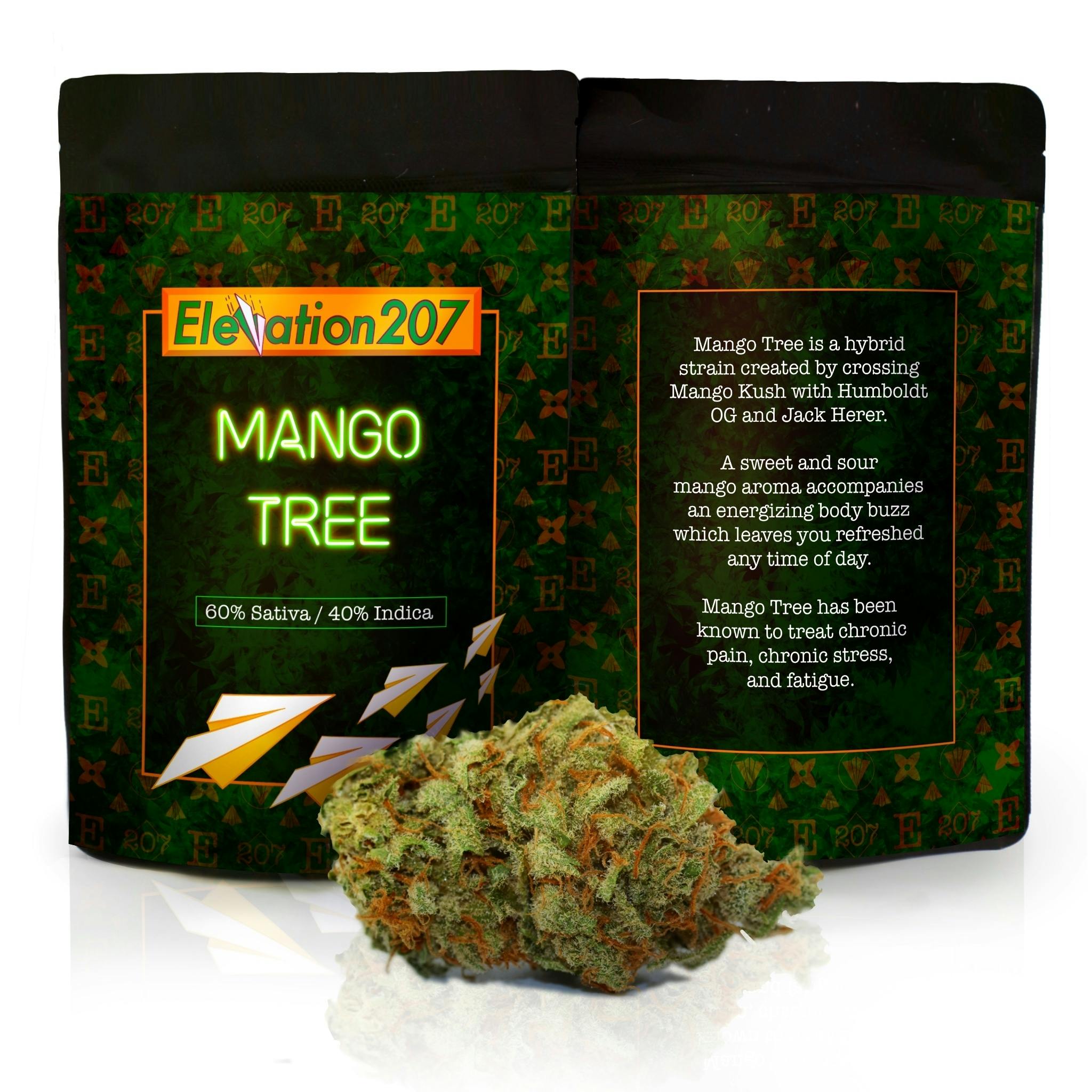 Elevation 207 - Mango Tree * Ultra Premium - 1