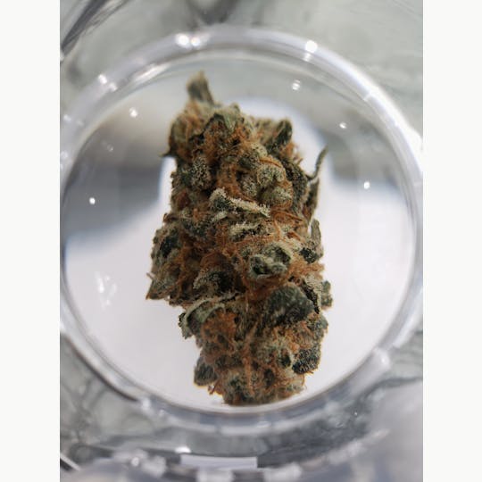 Delightful Hights - Purple Punch - 1