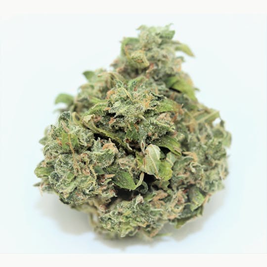 Elevation 207 - NYC OG * Special - 1