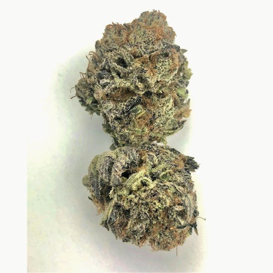 Indico - Banana Punch - 1