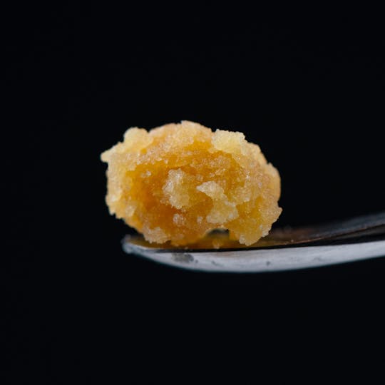 Brigid Farm - Grandpa's Breath F2 - 1