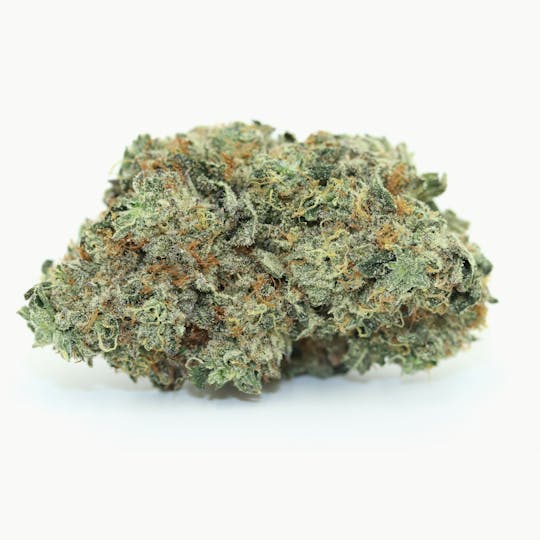 Elevation 207 - Gelato X - 1
