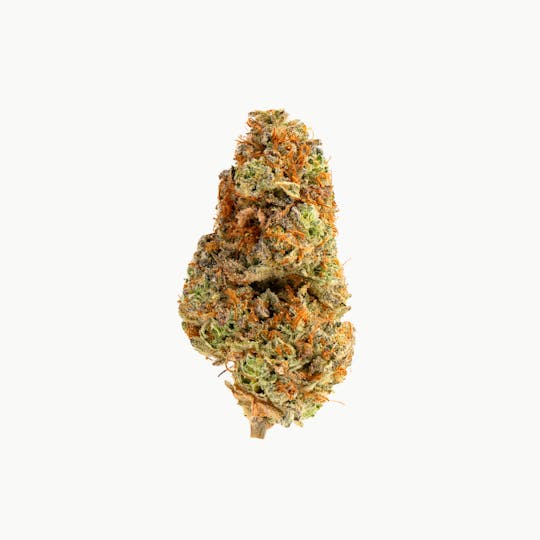 Brigid Farm - Roasted Garlic Margy #57 - 1