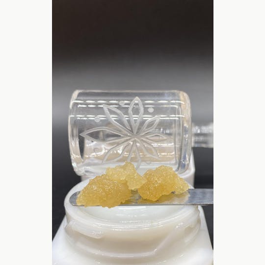 Sooner Glue - 1g Lemon Tree Sugar - 1