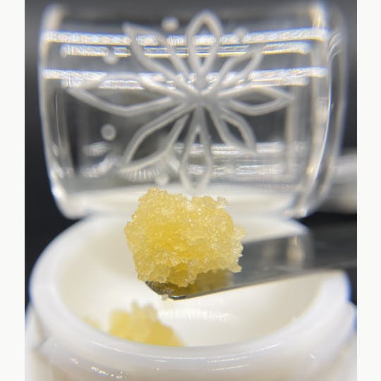 Sooner Glue - SoonerGlue Sugar - 1