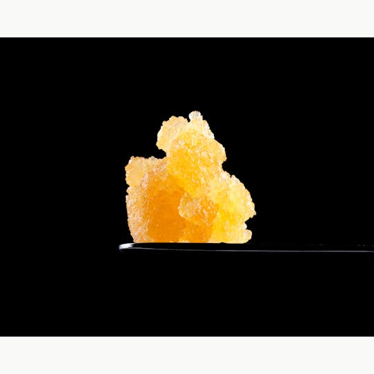 Brigid Farm - Skunk Hero - 1