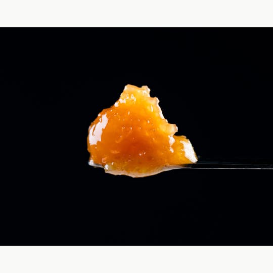 Brigid Farm - Larry Lobster - 1