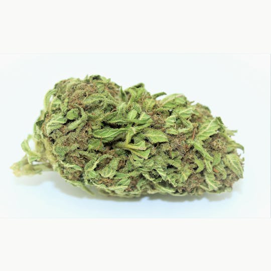 Elevation 207 - Northern Lights X Big Bud *Outdoor Special* - 1