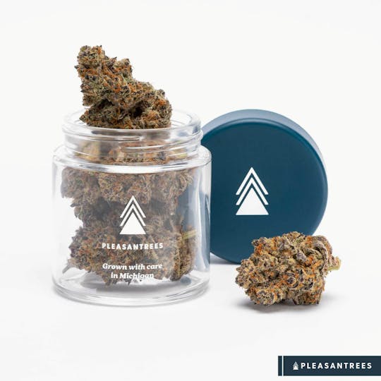 Pleasantrees - Gorilla Breath | 1/8th Ounce - 1