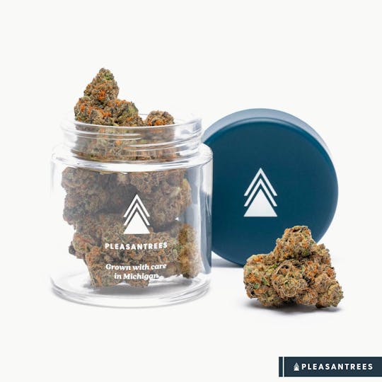 Pleasantrees - Grape Gas | 1/8th Ounce - 1