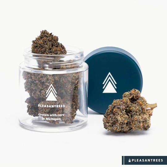 Pleasantrees - Fudge Ripple | 1/8th Ounce - 1