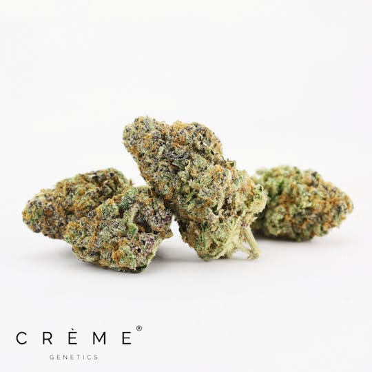 Crème Genetics - Purple Sundae (3.5g) - 1
